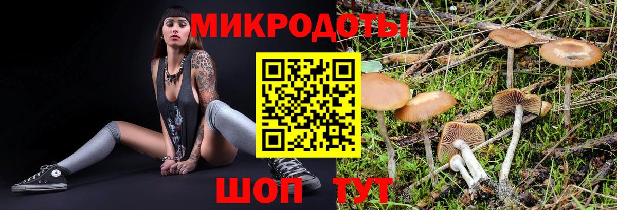 Казань  Галлюциногенные грибы GOLDEN TEACHER  Галлюциногенные грибы мухоморы  Вход с VPN 