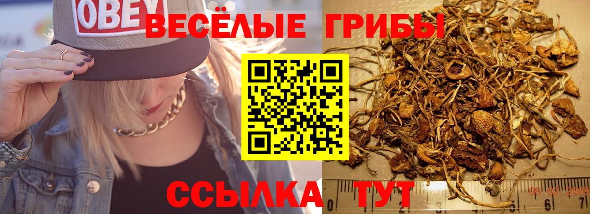 Галлюциногенные грибы Cubensis Казань